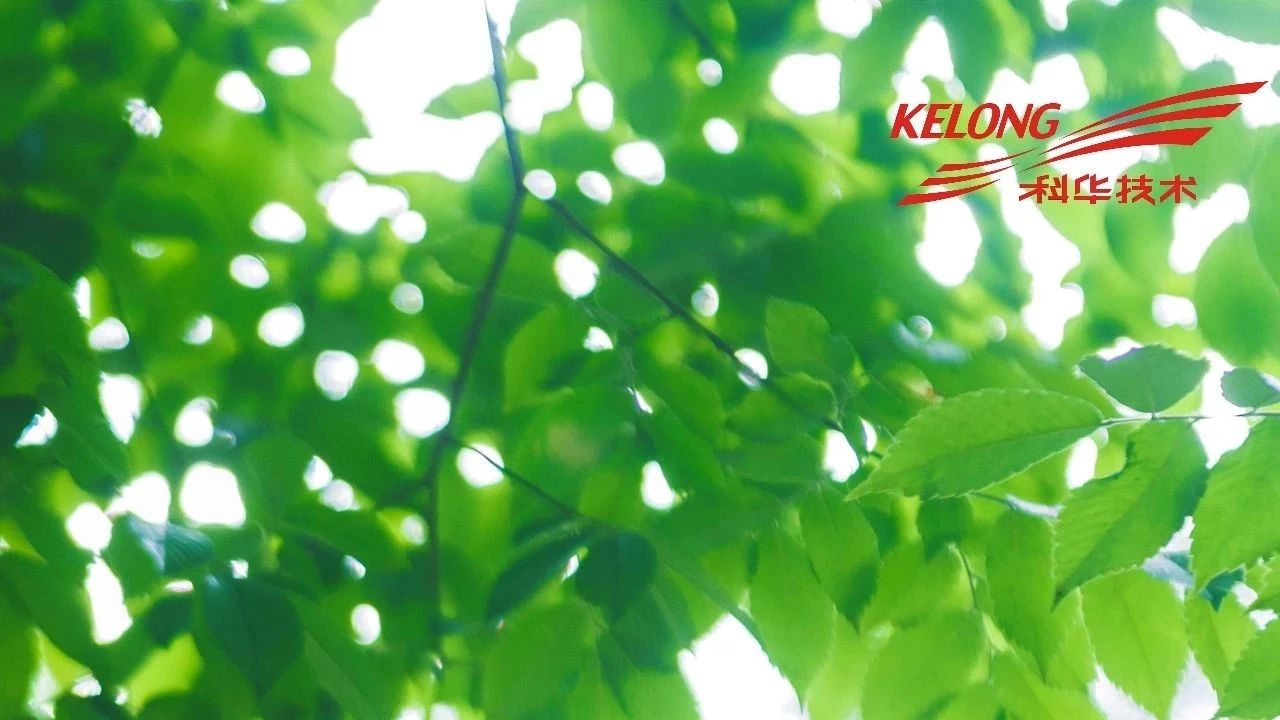 你好(hǎo)(hǎo)，夏天